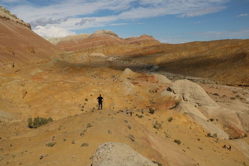 cikk 4812 0329 altyn emel np aktau